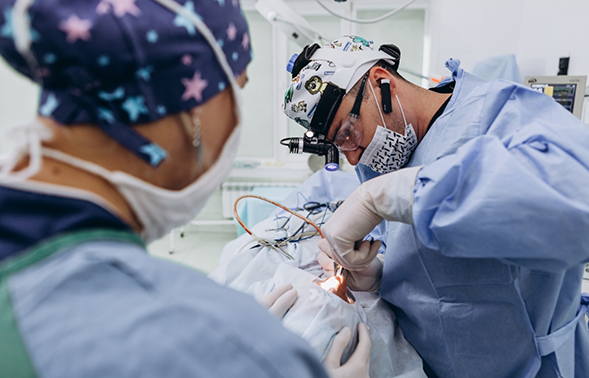 Oral surgery team treating a patient
