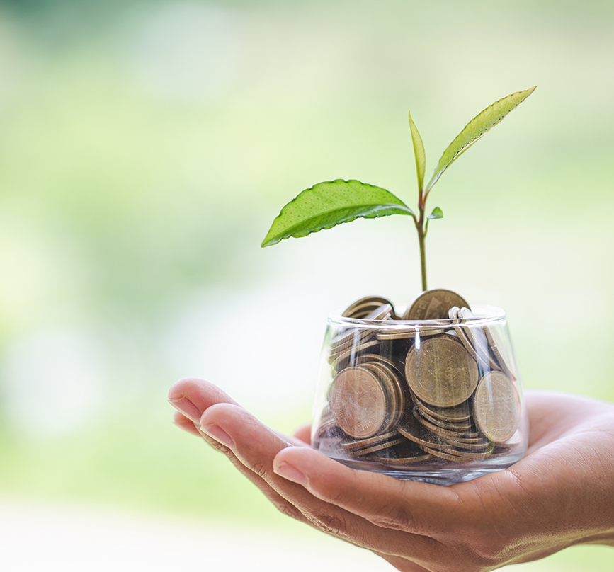Hand holding a glass jar of coins with a plant sprouting from the top