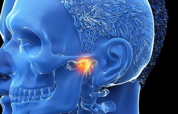 Illustrated x-ray of the skull with the jaw joint highlighted