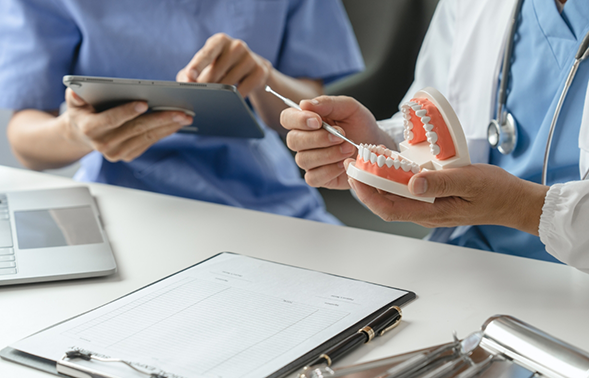 Dentist showing another person a model of the teeth